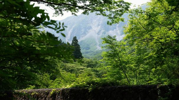 大山 大山 木,天気,天候の写真素材