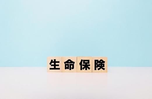 生命保険ブロック文字 生命保険ブロック文字 生命保険,医療保険,保険の写真素材