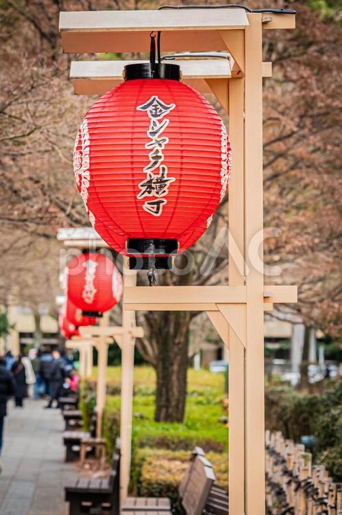 名古屋　名古屋城の風景 名古屋,愛知,愛知県の写真素材