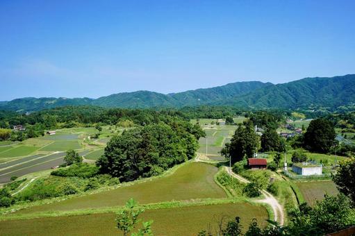 島根県奥出雲町の夏の田んぼ 島根県奥出雲町の夏の田んぼ 田んぼ,水田,夏の写真素材