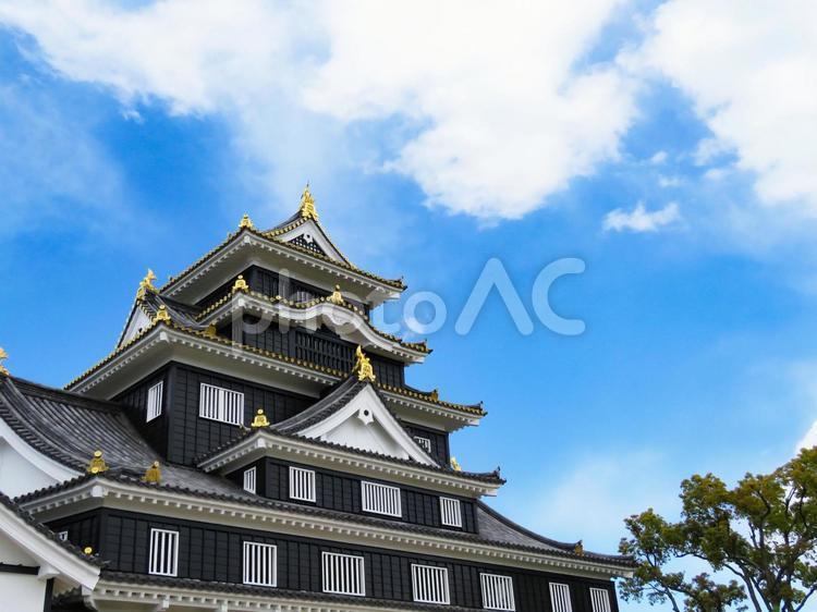 そびえる岡山城の天守閣 岡山城,烏城,天守閣の写真素材