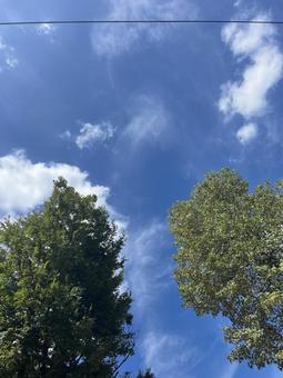 秋の空 秋の空 秋,青,青空の写真素材