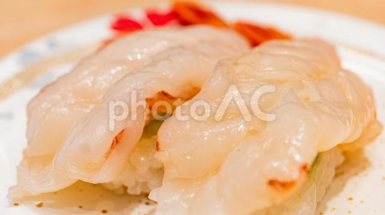 赤エビのにぎり寿司 寿司,赤エビ,にぎり寿司の写真素材