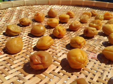Plums drying in the sunlight, JPG