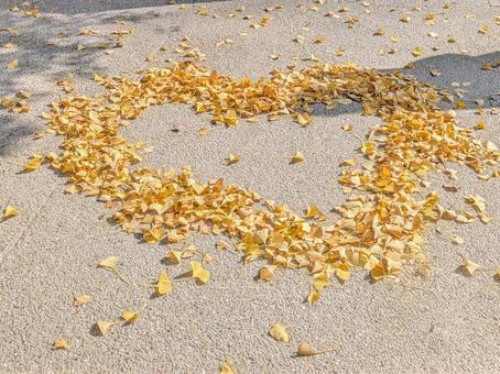 ハートのイチョウ 黄色,イエロー,かわいいの写真素材