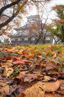 長浜城と落ち葉 長浜城,落ち葉,紅葉の写真素材