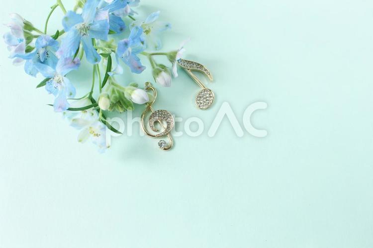 青い花と音符 青,花,生花の写真素材