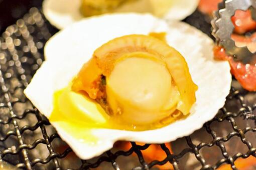 Scallops, scallops, grill, shell, JPG