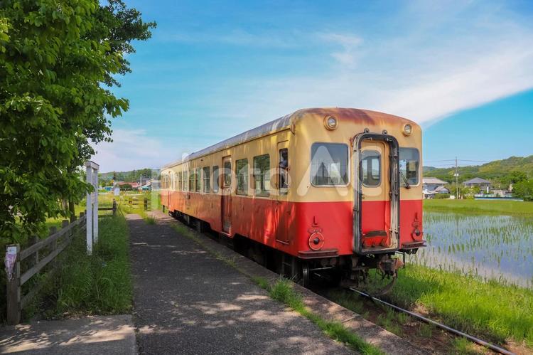 初夏の上総久保駅を発車するキハ 小湊鉄道,初夏,田んぼの写真素材