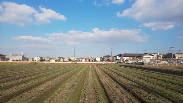 農地-福岡県 粕屋町 農地-福岡県 粕屋町の写真