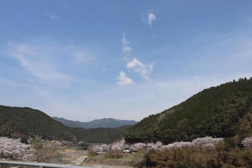 桜風景 桜風景の写真