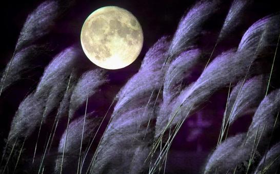 Autumn image material / Full moon and silver grass, JPG