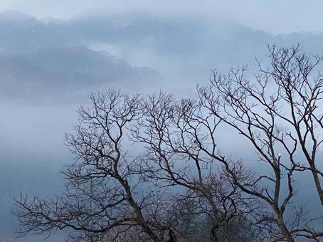 Photo, margaret, fog, a settlement, 
