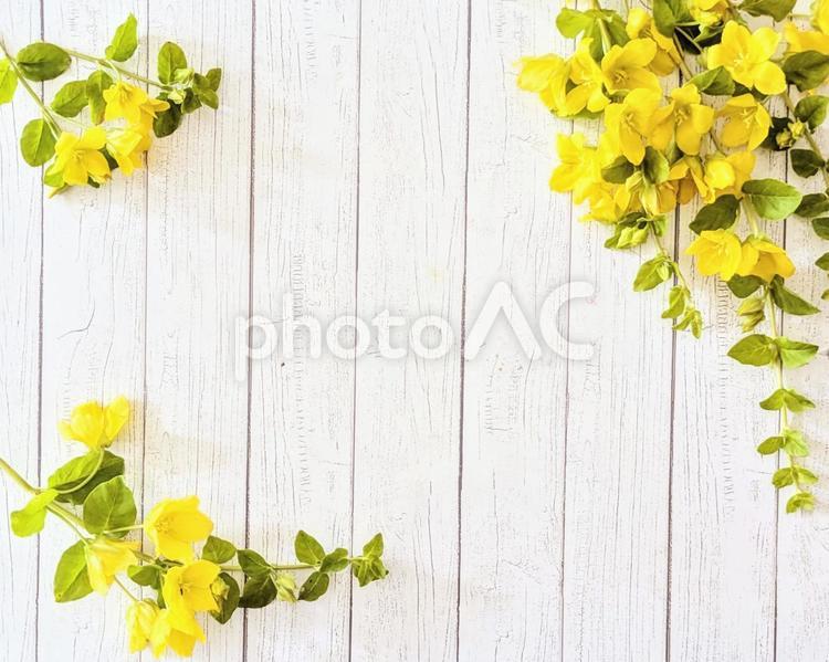 木目に花のフレーム（コバンコナスビ） 木目,花,フレームの写真素材