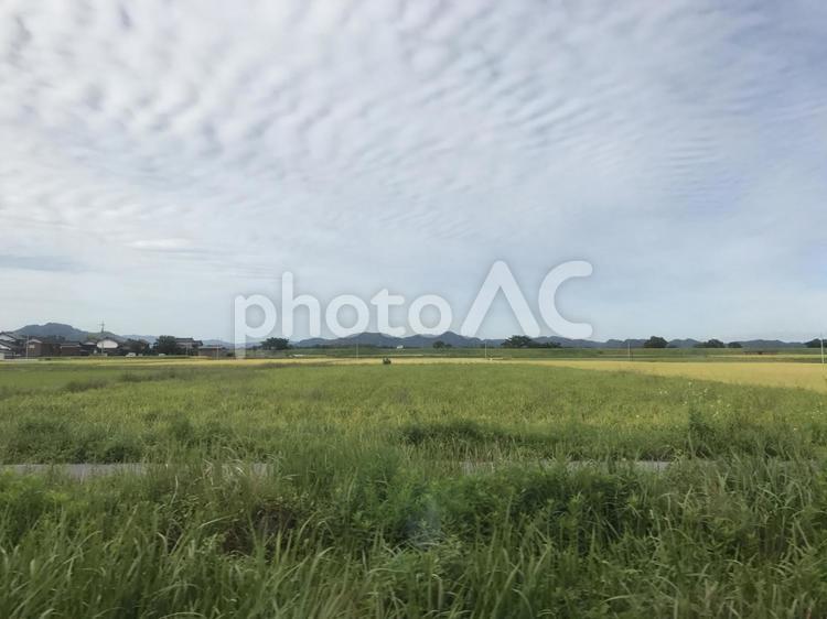 田舎の風景 田舎,畑,農業の写真素材