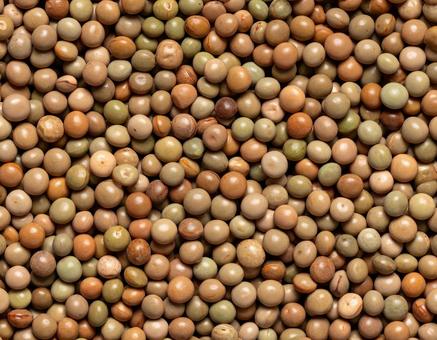 乾燥豆のナチュラル集合 乾燥豆のナチュラル集合の写真