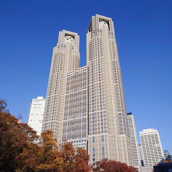 都庁 都庁,東京都庁,背景の写真素材