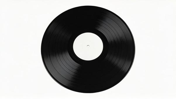 レコード1の写真