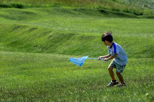 <素材>夏の公園で虫取りをする男の子 <素材>夏の公園で虫取りをする男の子 子供,昆虫採集,虫取りの写真素材