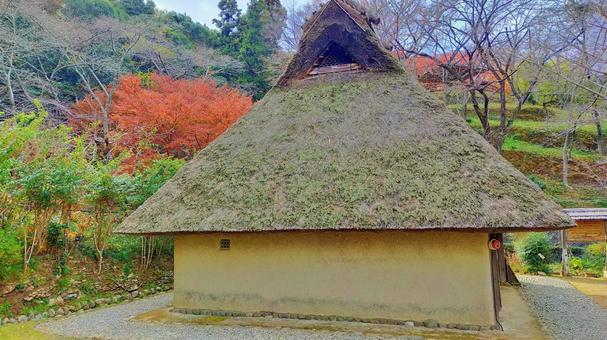 紅葉と茅葺き屋根の日本家屋 紅葉と茅葺き屋根の日本家屋 茅葺き屋根,紅葉,秋の写真素材