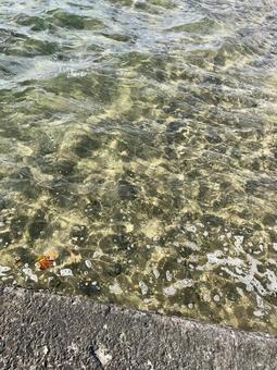 浅瀬の海面 浅瀬の海面の写真