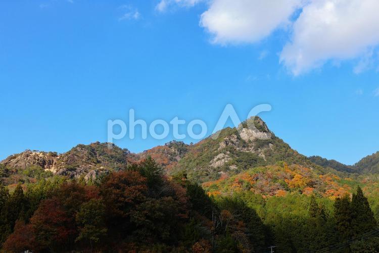 １２月上旬のさぬき市女体山と紅葉 背景,紅葉,植物の写真素材