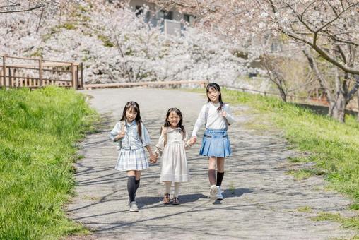 桜並木を走る小学生　 桜,小学生,走るの写真素材