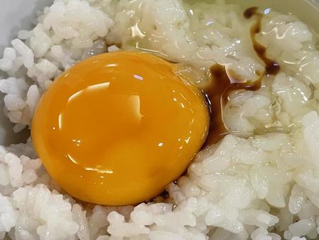 卵かけご飯 卵かけご飯,卵,生卵の写真素材
