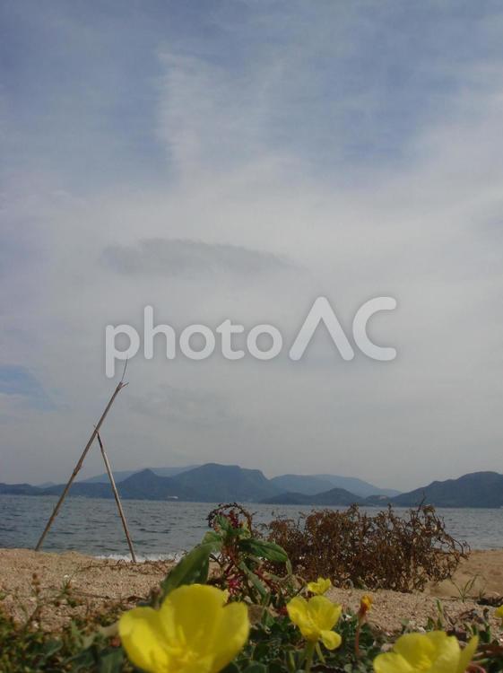 花、海、手島、瀬戸内、瀬戸内海 花,海,手島の写真素材