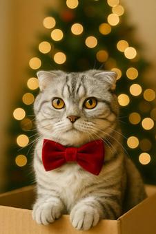 クリスマスツリーと蝶ネクタイの猫の写真