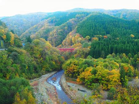 紅葉・松川渓谷高井橋 紅葉・松川渓谷高井橋 紅葉,松川,渓谷の写真素材