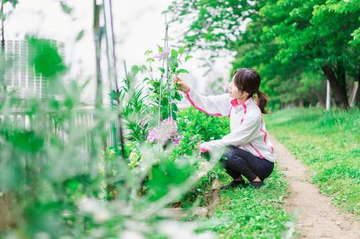 庭で花の世話をする若い女性 庭で花の世話をする若い女性 公園,手入れ,世話の写真素材