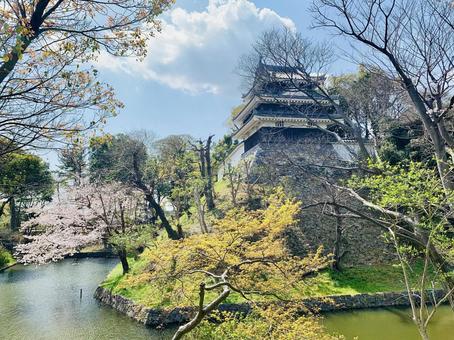 春の城 春の城の写真