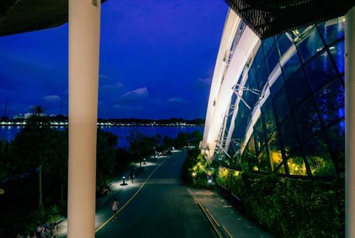 【シンガポール】ガーデンズバイザベイ シンガポール,ガーデンズバイザベイ,スーパーツリーの写真素材