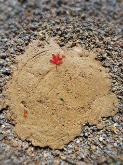 もみじ もみじ,紅葉,メッセージの写真素材