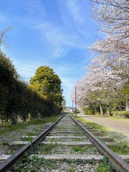 公園の廃線路 公園の廃線路 廃線,線路,レールの写真素材