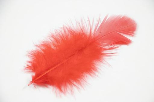 赤い羽根 赤い羽根 赤い羽根,募金,共同募金の写真素材