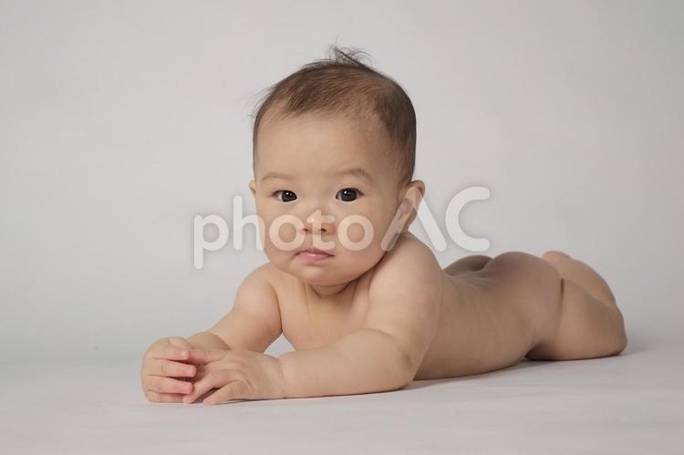 裸の赤ちゃん 7 裸の赤ちゃん 7 赤ちゃん,日本人,裸の写真素材