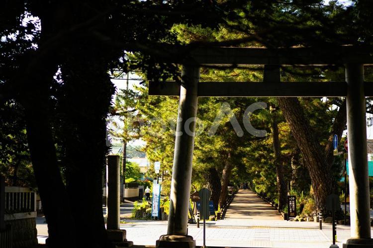 駿河国三之宮 御穗神社 駿河国三之宮,御穗神社,神社の写真素材