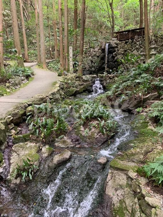 森の小川と石橋のある遊歩道 森,川,小川の写真素材