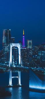 スマホ壁紙サイズの東京夜景 #2 スマホ壁紙サイズの東京夜景 #2 東京,夜景,東京タワーの写真素材