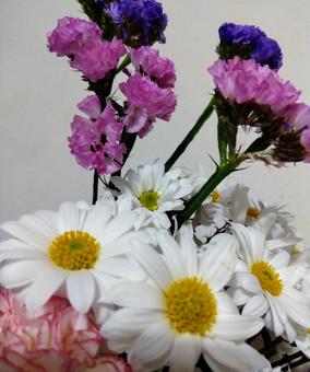かがやき かがやきの写真