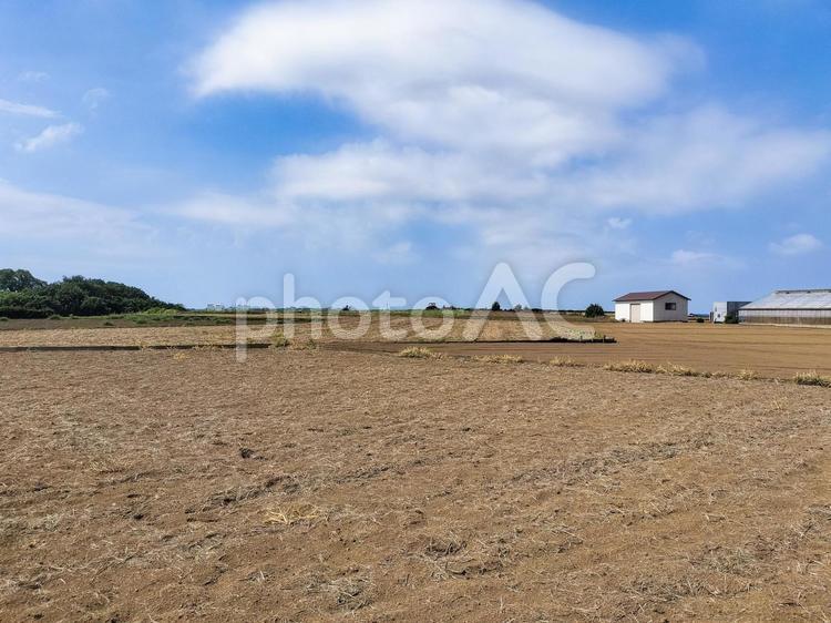 神奈川県三浦市南下浦町の畑・田園風景 畑,農地,農業の写真素材