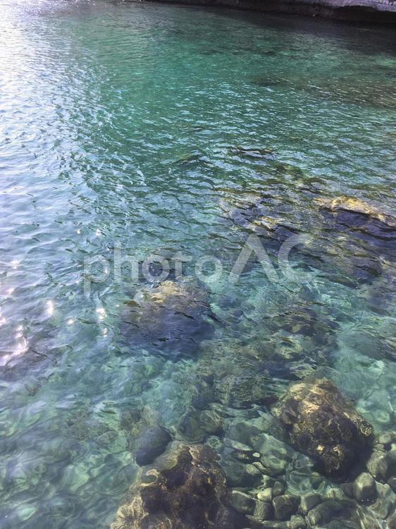 伊豆の海 海,緑,水の写真素材