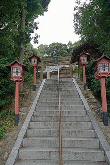 パワースポット宝塚市川面　皇太神社⑧参道 パワースポット,宝塚市川面,皇太神社の写真素材