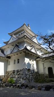 大垣城（天守）03 大垣城,岐阜県,大垣市の写真素材