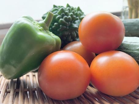 夏野菜の収穫 夏野菜の収穫 夏野菜,トマト,ミニトマトの写真素材