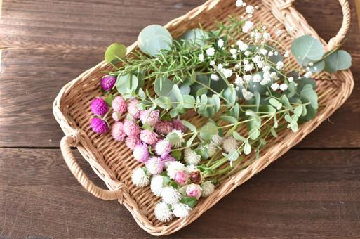 可愛らしい花々 朝摘み 可愛らしい花々 朝摘み 千日紅,ユーカリ,ローズマリーの写真素材