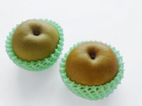 キャップに包まれた梨 秋の味覚 キャップに包まれた梨 秋の味覚の写真