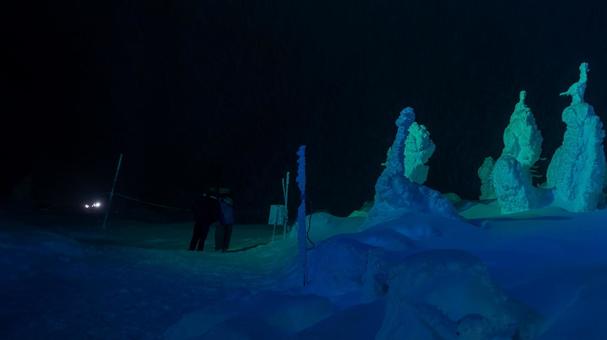 蔵王樹氷ライトアップ 蔵王樹氷ライトアップの写真